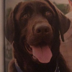 Meet your Posher, Karen